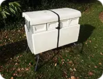 BeeHaus Hive