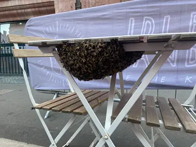 Cafe table swarm