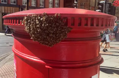 Post Box swarm