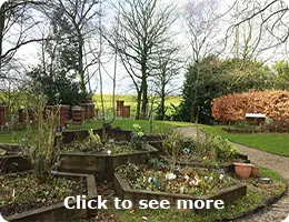 Bee Friendly Winter Garden