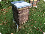 Langstroth Hive